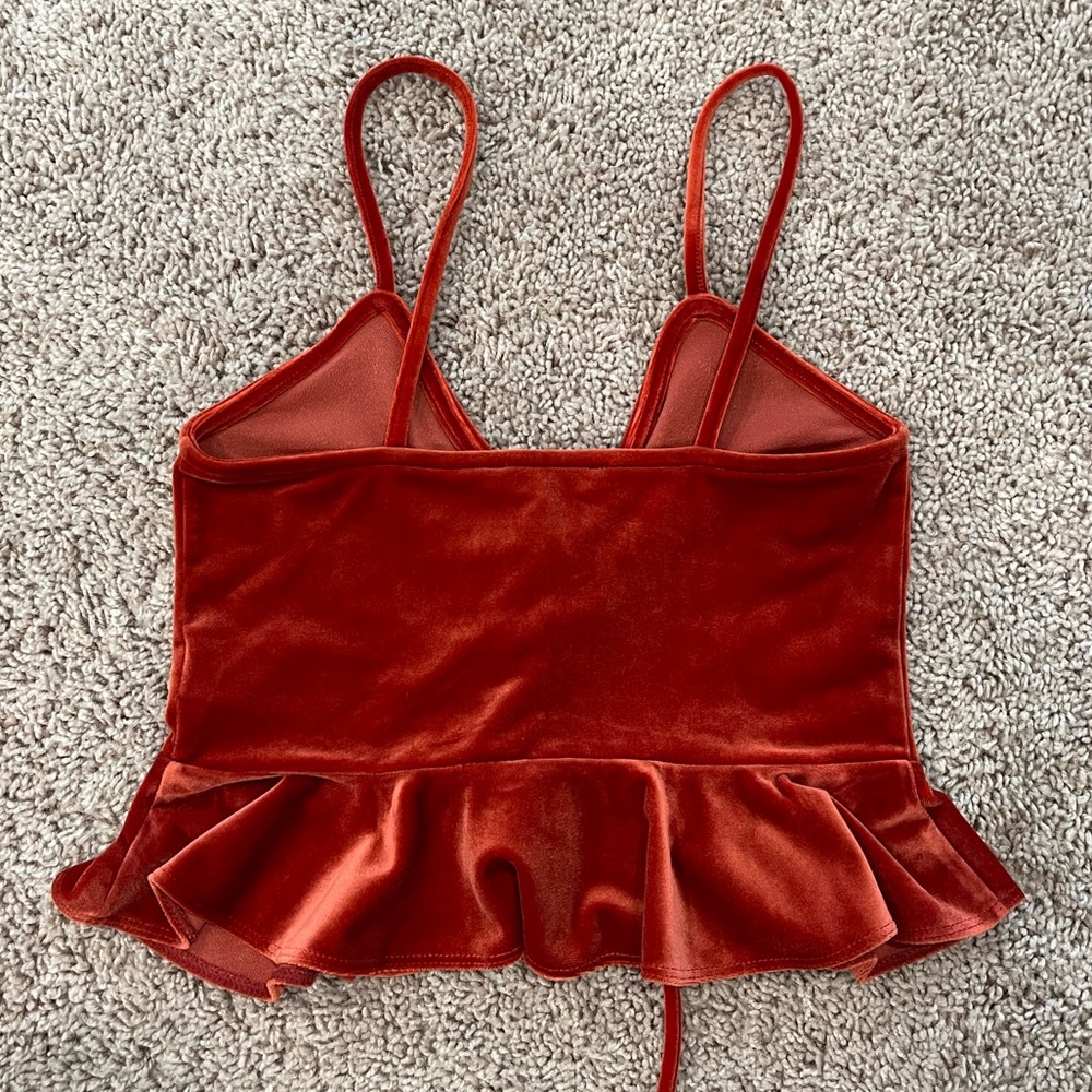 Forever 21 Velvet Crop Top - Picture 3 of 3